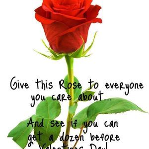 Meet your Posher, Raquel ru